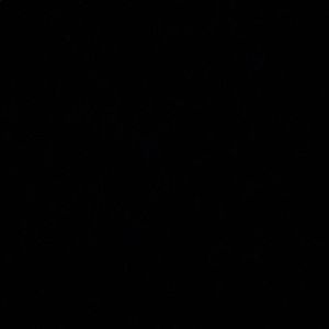 Meet your Posher, Jada